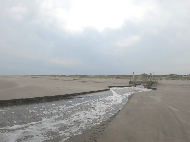 Gx010805 Frame At 4m15s