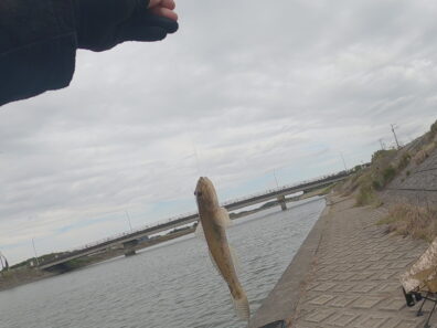 Gx011711 Frame At 0m20s